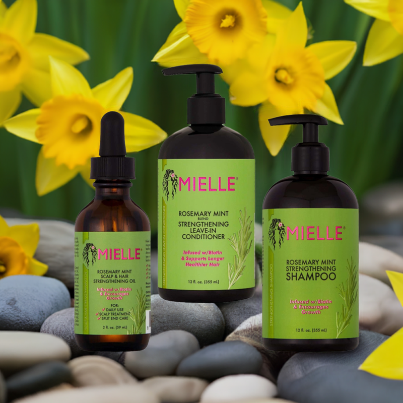 Mielle Organics Rosemary Mint Bundle Kit Shampoo Conditioner & Scalp Strengthening Oil